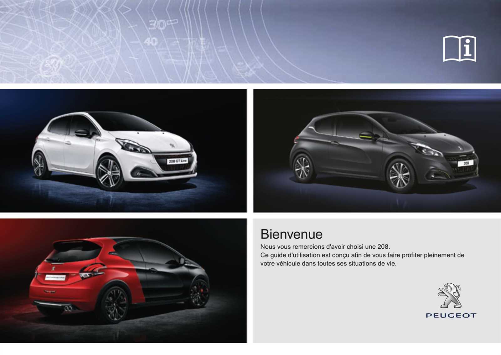 manuel dutilisation peugeot 208