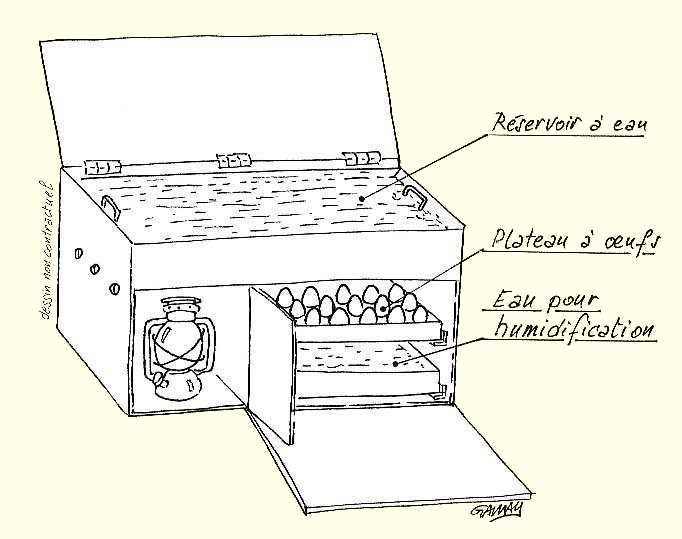 comment utiliser une couveuse manuelle