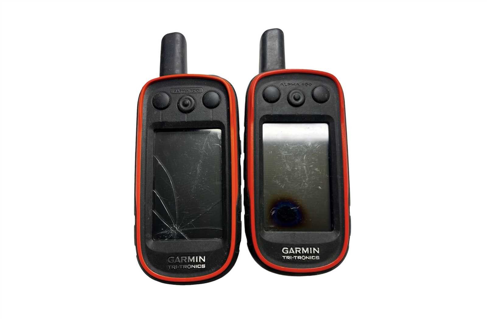 manuel utilisation garmin alpha 100