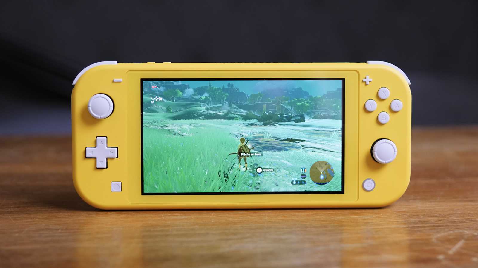 nintendo switch lite manuel dutilisation