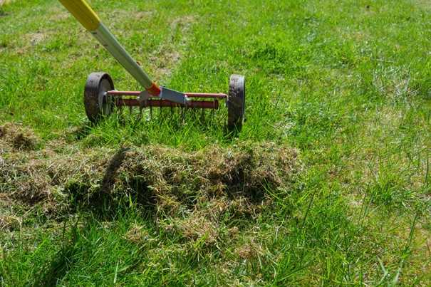 scarificateur manuel utilisation