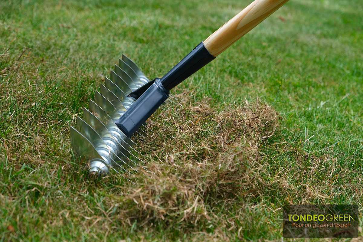 scarificateur manuel utilisation